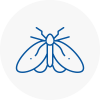Moth Control Specialists In Bray